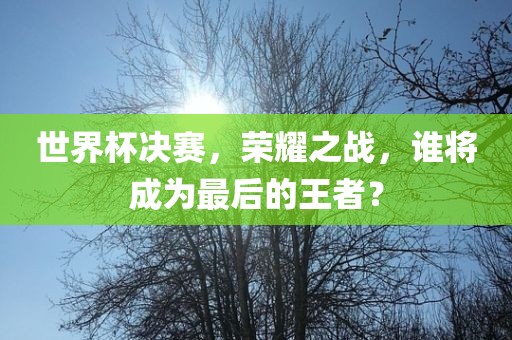 世界杯决赛，荣耀之战，谁将成为最后的王者？