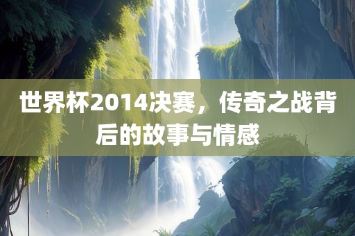 世界杯2014决赛，眉山市正发家政服务有限公司传奇之战背后的故事与情感