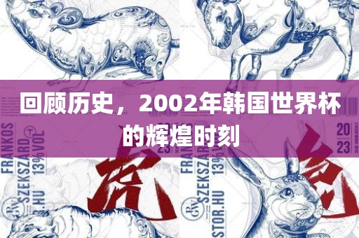 回顾历史，2002年韩国世界杯的辉煌时刻眉山市正发家政服务有限公司