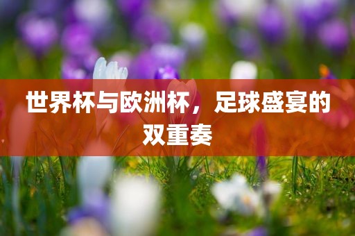 世界杯与欧洲杯，足球盛宴的眉山市正发家政服务有限公司双重奏