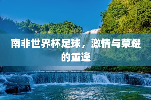 南非世界杯足球，激情与荣耀的重逢眉山市正发家政服务有限公司
