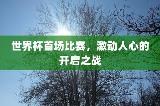 世界杯首场比赛，激动人心的眉山市正发家政服务有限公司开启之战