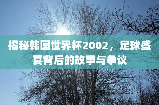 揭秘韩国世界杯2002，足球盛宴背后的故事与争议