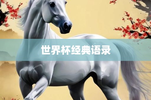 世界杯经典语录眉山市正发家政服务有限公司