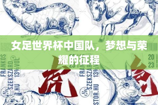 女足世界杯中国队，梦想与荣耀的征程