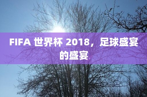 FIFA 世界杯 2018，足球盛宴的盛宴眉山市正发家政服务有限公司