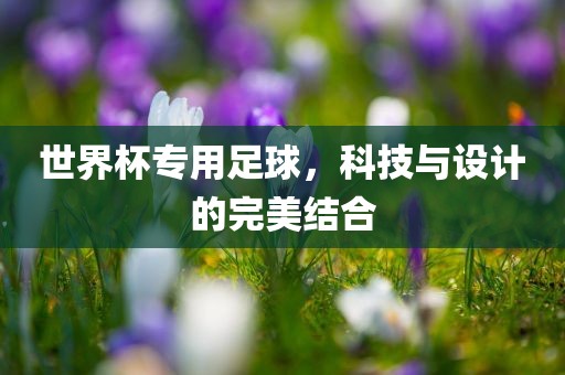 世界杯专用足球，科技与设计的完美结合