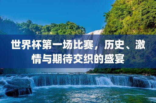 世界杯第一场比赛，历史、激情与期待交织的盛宴眉山市正发家政服务有限公司