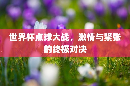 世界杯点球大战，激情与紧张的终极对决