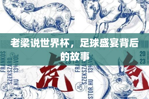 老梁说世界杯，足球盛宴背后的故事眉山市正发家政服务有限公司