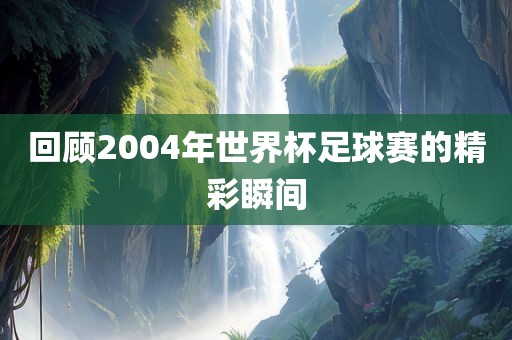 眉山市正发家政服务有限公司回顾2004年世界杯足球赛的精彩瞬间