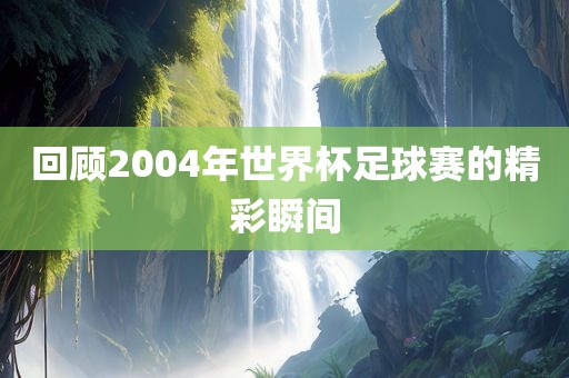 回顾2004年世界杯足球赛的精彩瞬间眉山市正发家政服务有限公司