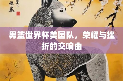 男篮世界杯美国队，荣耀与挫折的交响曲