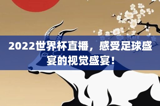 2022世界杯直播，感受足球盛宴的视觉盛宴！眉山市正发家政服务有限公司