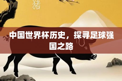 中国世界杯历史，探寻足球强国之路眉山市正发家政服务有限公司
