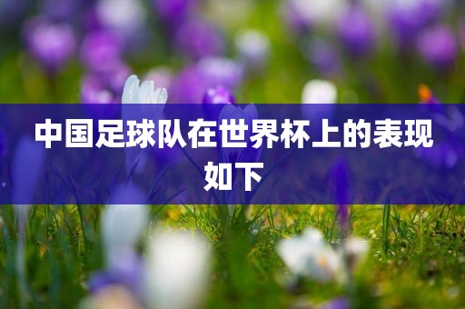 中国足球队在世界杯上的表现如下眉山市正发家政服务有限公司
