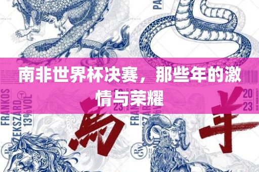 南非世界杯决赛，那些年的激情与荣眉山市正发家政服务有限公司耀