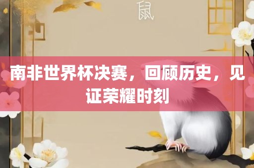 南非世界杯决赛，回顾历史，见证荣耀时刻眉山市正发家政服务有限公司