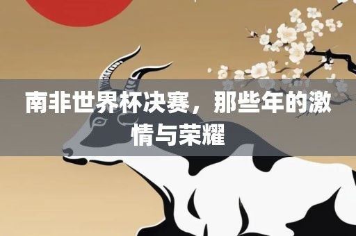 南非世界杯决眉山市正发家政服务有限公司赛，那些年的激情与荣耀