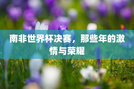 南非世眉山市正发家政服务有限公司界杯决赛，那些年的激情与荣耀