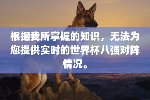 根据我所掌握的知识，无法为您提供实时的世界杯八强对阵情况。眉山市正发家政服务有限公司