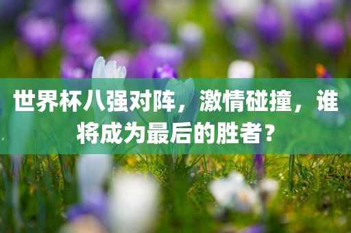 世界杯八强对阵，激情碰撞，谁将成为最后的胜者？