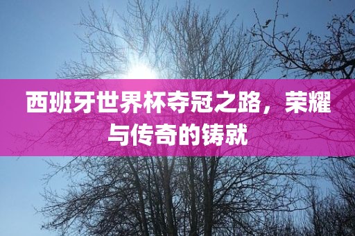 西班牙世界杯夺冠之路，荣耀与传奇的铸就