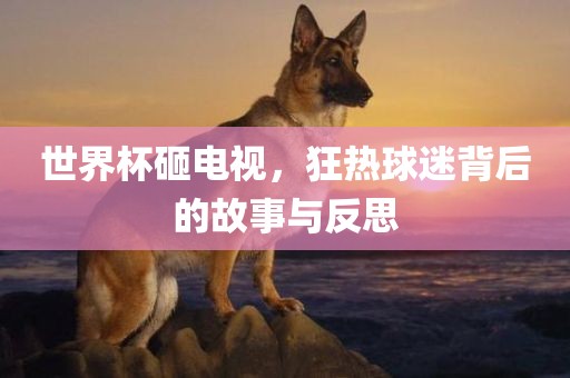 世界杯砸电视，狂热球迷背后的故事与眉山市正发家政服务有限公司反思