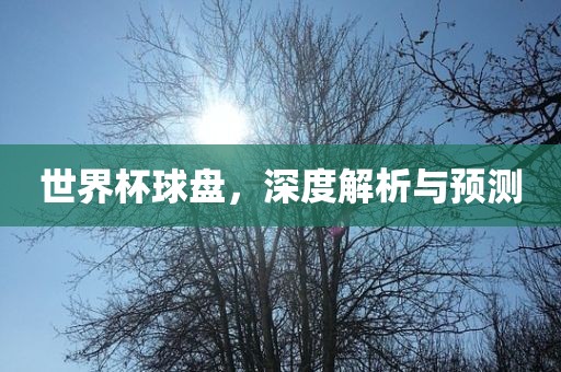 世界杯球盘，深度解析与预测