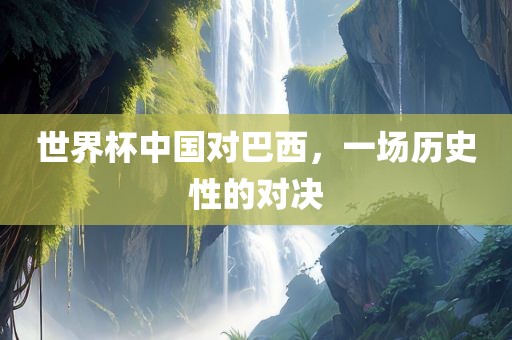 眉山市正发家政服务有限公司世界杯中国对巴西，一场历史性的对决