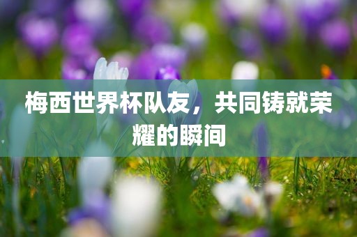 梅西世界杯队友，共同铸就荣耀的瞬间