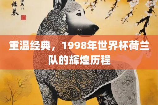 重温经典，1998年世界杯荷兰队的辉煌历程