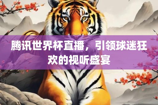 腾讯世界杯直播，引领球迷狂欢的视听盛宴眉山市正发家政服务有限公司