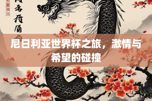 尼日利亚世界杯之旅，激情与希望的碰撞