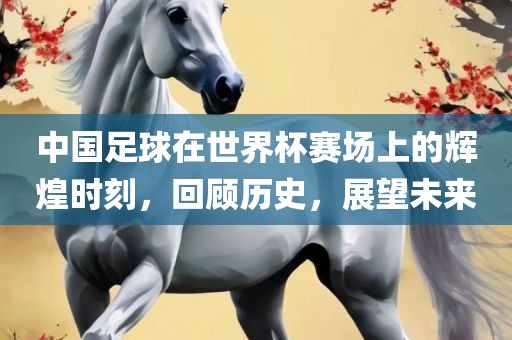 中国足球在世界杯赛场上的辉煌时刻，回顾历史，展望未来