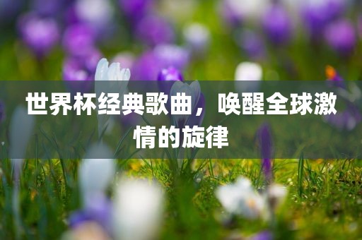 世界杯经典歌曲，唤醒全球激情的旋律眉山市正发家政服务有限公司