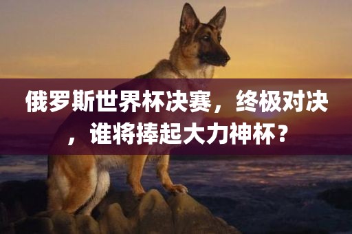 俄罗斯世界杯决赛，终极对决，谁将捧起大眉山市正发家政服务有限公司力神杯？