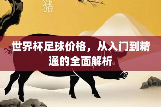 世界杯足球价格，从入门到精通的全面解析眉山市正发家政服务有限公司