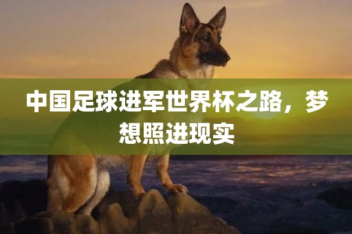 中国足球进军世界杯之路，梦想照进现实眉山市正发家政服务有限公司