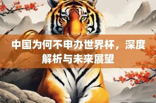 中国为何不申办世界杯，深度解析与未来展望眉山市正发家政服务有限公司