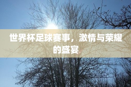 世界杯足球赛事，激情与荣耀的盛宴眉山市正发家政服务有限公司