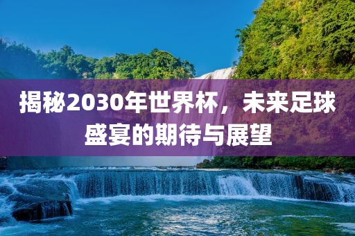揭秘2030年世界杯，未来足球盛宴的期待与展望眉山市正发家政服务有限公司