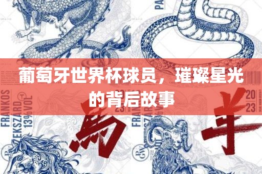 葡萄牙世界杯球员，璀璨星光的背后故事