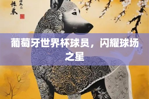 葡眉山市正发家政服务有限公司萄牙世界杯球员，闪耀球场之星