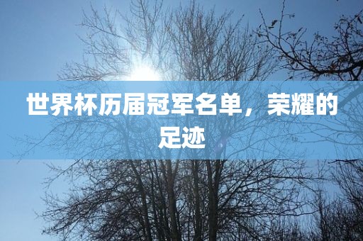 世界杯历届冠军名单，荣耀的足迹眉山市正发家政服务有限公司