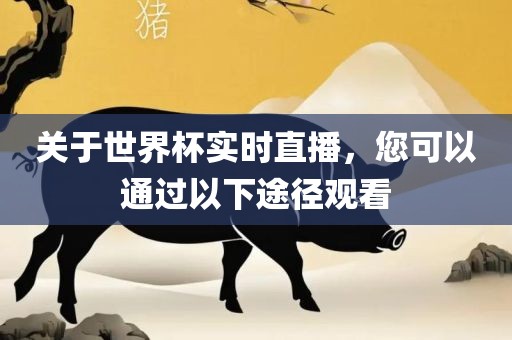 关于世界杯实时直播，您可以通过以下途径观看