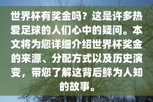 世界杯有奖金吗？这是许多热爱足球的人们心中的疑问。本文将为您详细介绍世界杯奖金的来源、分配方式以及历史演变，带您了解这背后鲜为人知的故事。眉山市正发家政服务有限公司