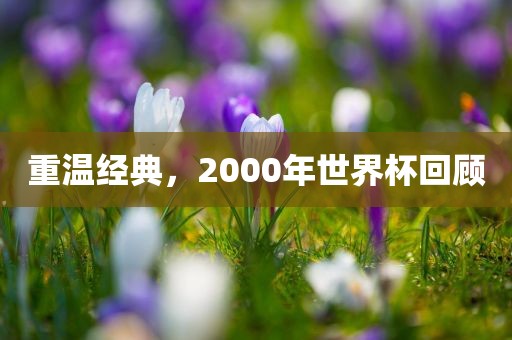 重温经典，2000年世界杯回顾