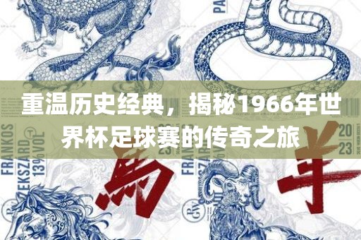 重温历史经典，揭秘1966年世界杯足球赛的传奇之旅眉山市正发家政服务有限公司