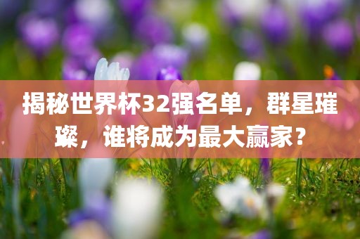 揭秘世界杯32强名单，群星璀璨，谁将成为最大赢家？眉山市正发家政服务有限公司